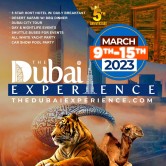 THE DUBAI EXPERIENCE