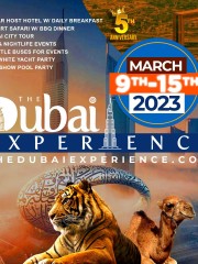 THE DUBAI EXPERIENCE