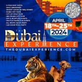 THE DUBAI EXPERIENCE 2024